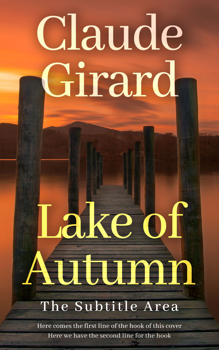 2D view of Premade Literary Fiction Book Cover - Birch