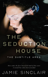 2D view of Premade Erotica Book Cover - Rodeo Dust