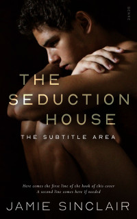 2D view of Premade Erotica Book Cover - Asphalt