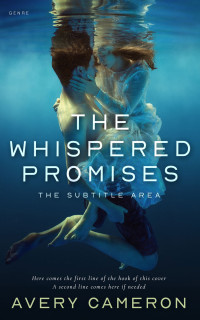 2D view of Premade Romance Book Cover - Big Stone