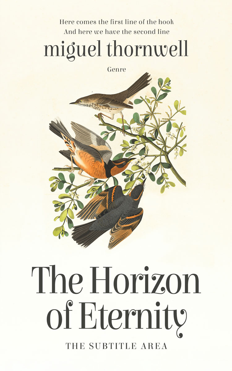 2D view of Premade Literary Fiction Book Cover - Bianca