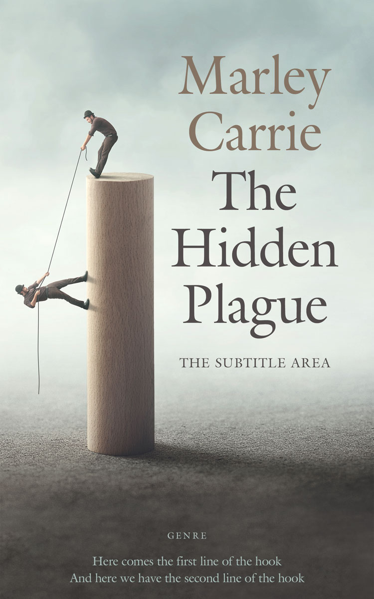 2D view of Premade Business Book Cover - Tasman