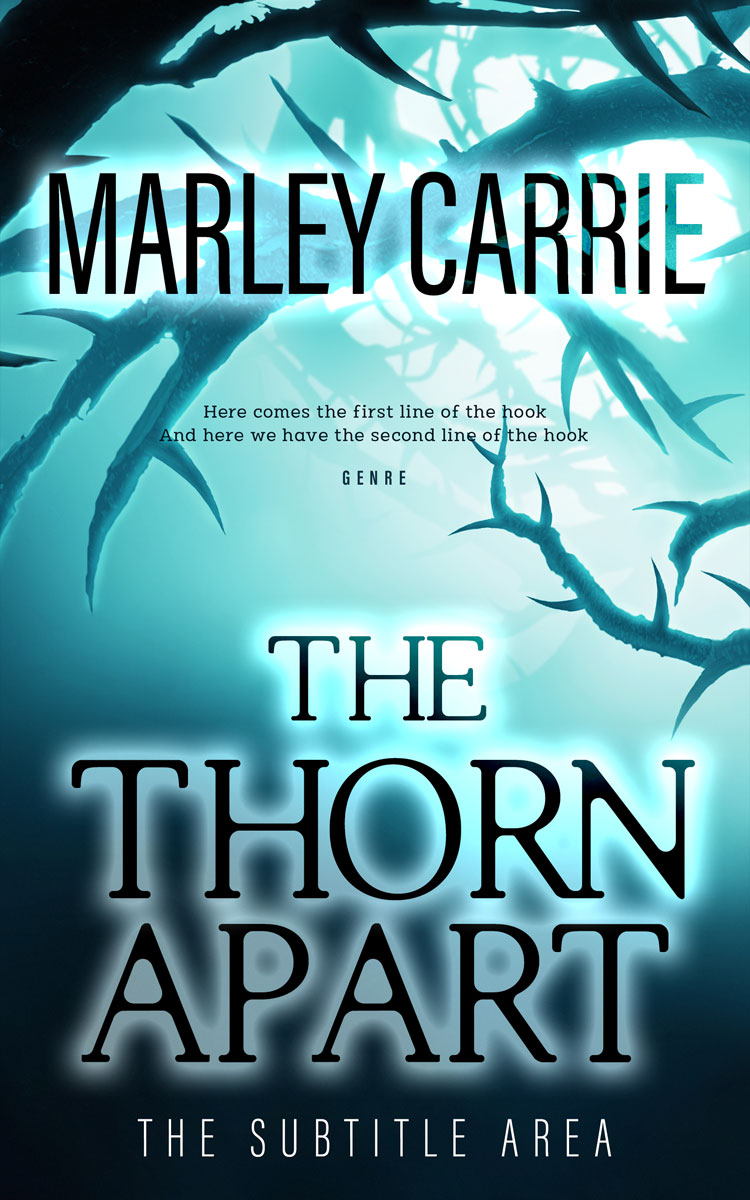 2D view of Firefly #20395 - Premade Fantasy Book Cover