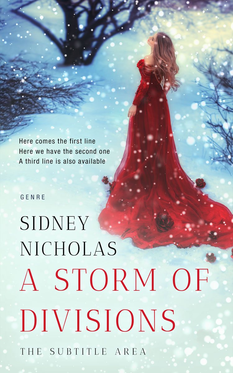 2D view of Premade Literary Fiction Book Cover - Skeptic