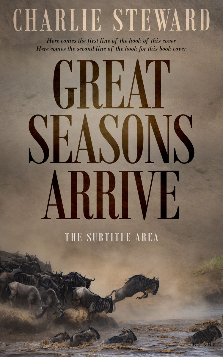 2D view of Premade Nature Book Cover - Sand Dune