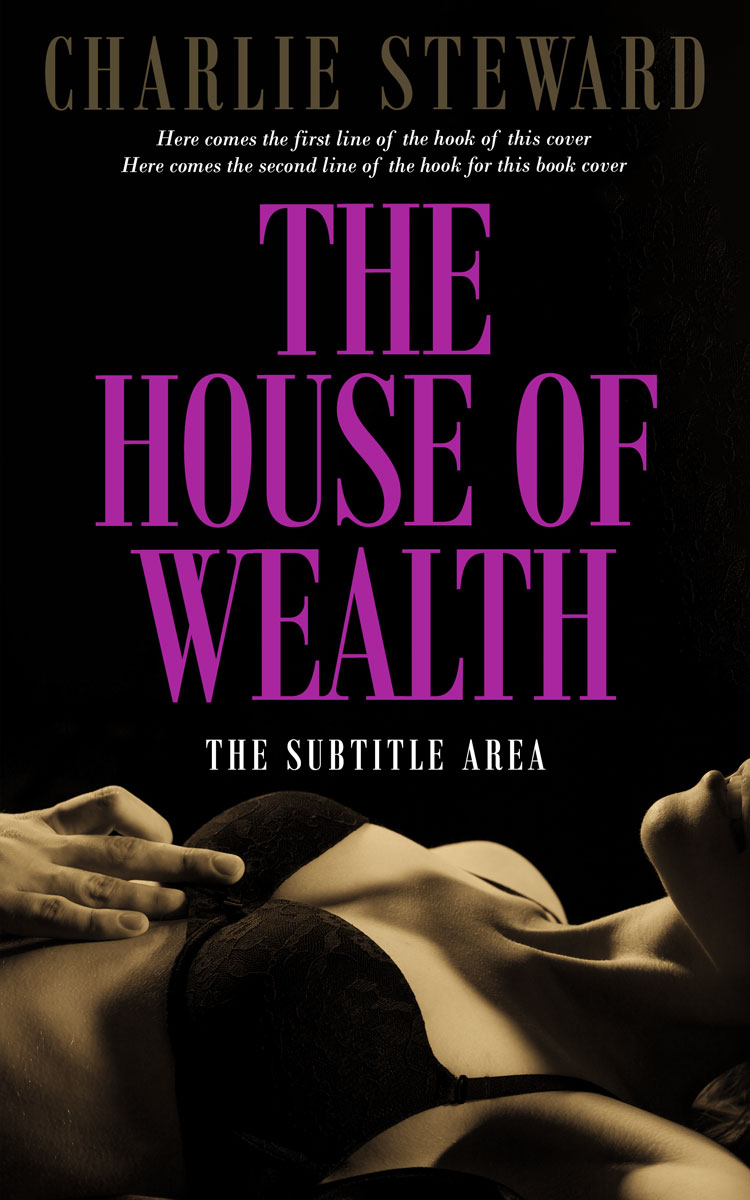 2D view of Premade Erotica Book Cover - Tapestry