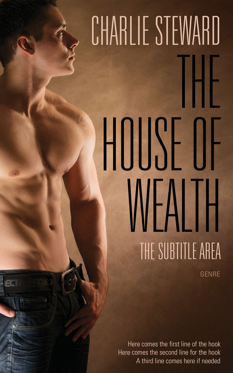 2D view of Premade Erotica Book Cover - Spice