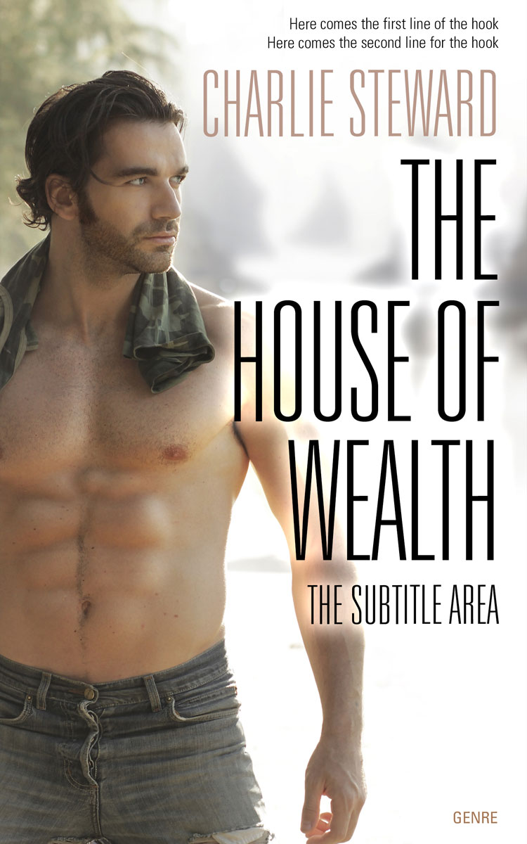 2D view of Premade Erotica Book Cover - Cement