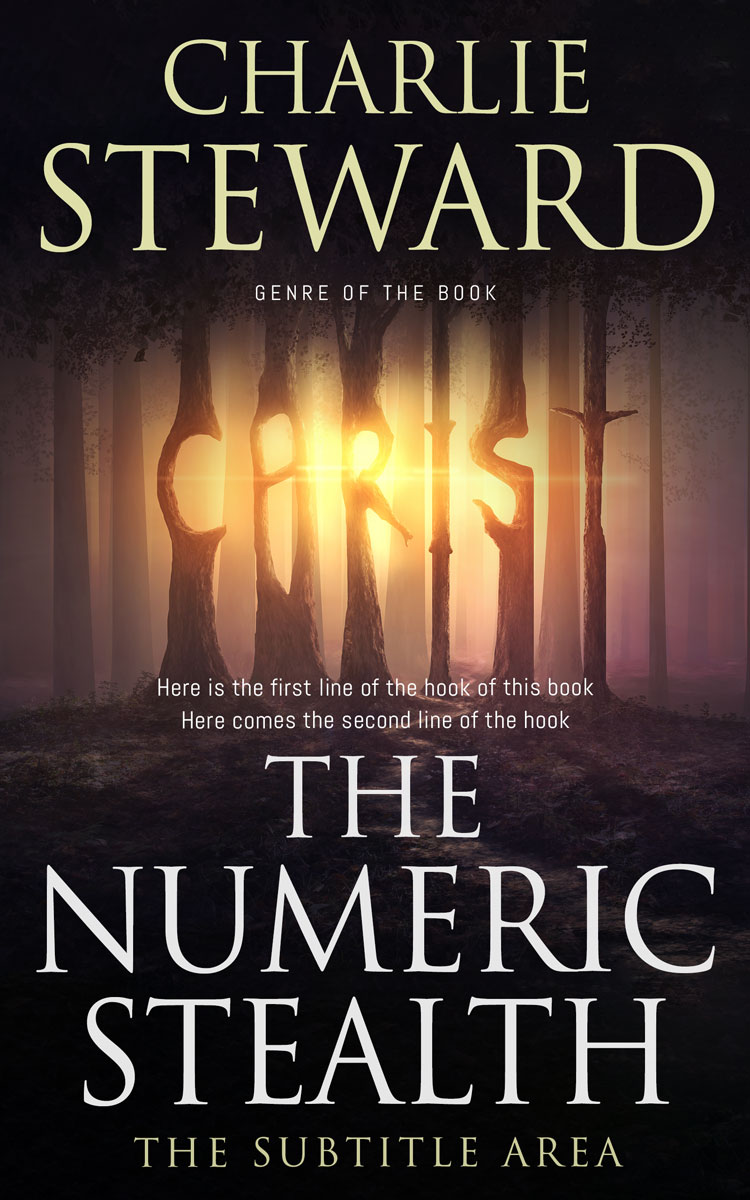 2D view of Premade Surreal Book Cover - Straw