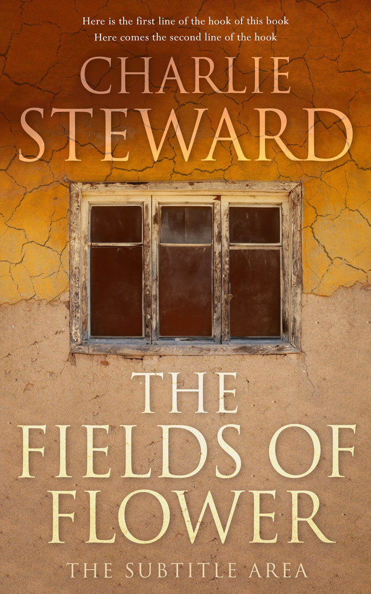 2D view of Premade Literary Fiction Book Cover - Driftwood