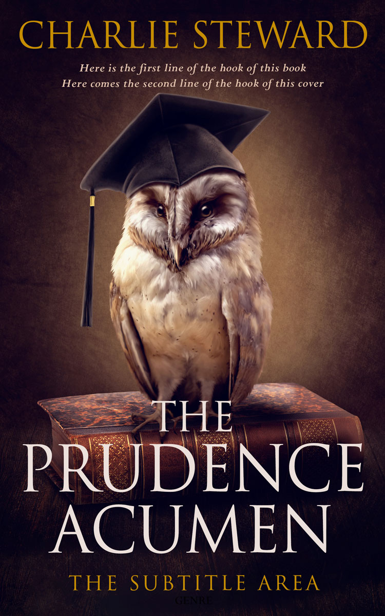 2D view of Premade Self-Improvement & Self-Help Book Cover - Gondola