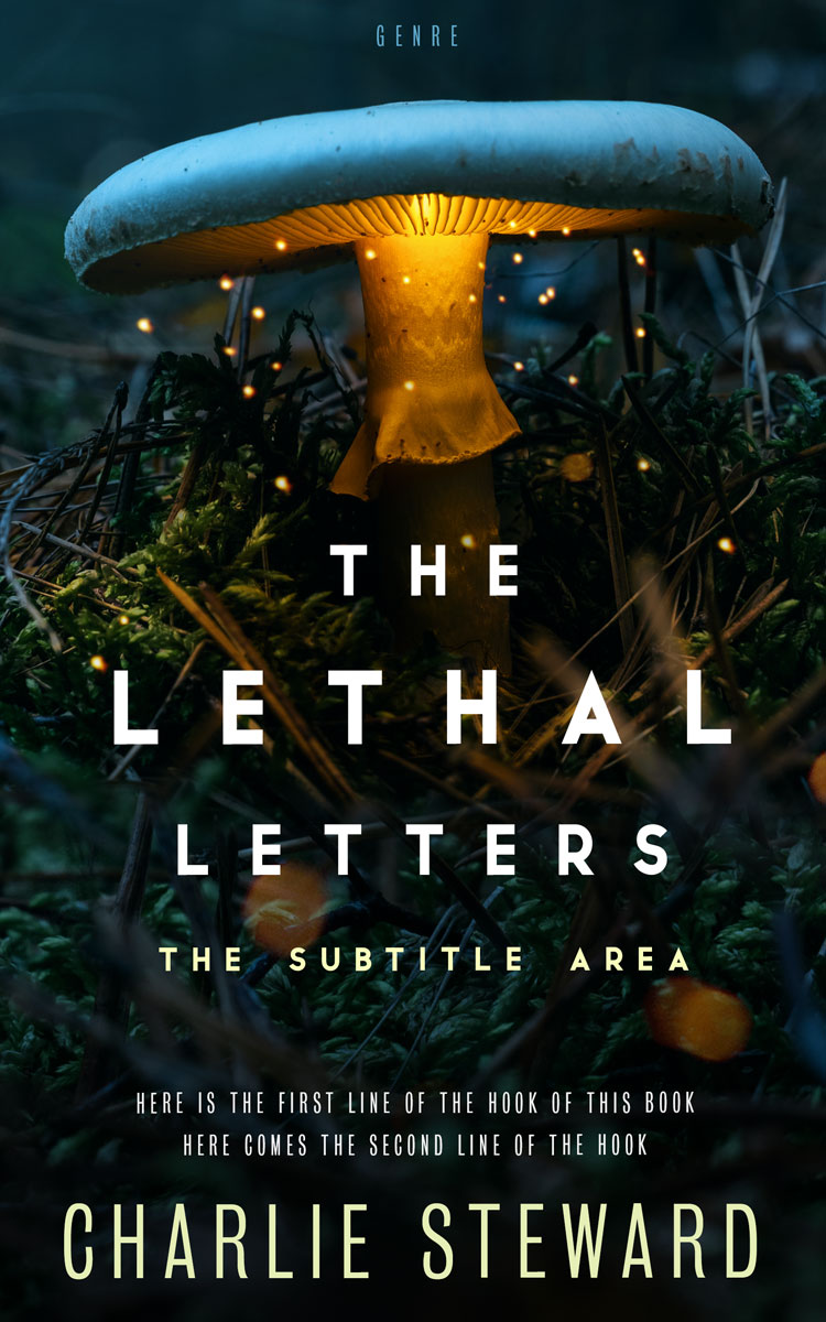 2D view of Premade Fantasy Book Cover - Black