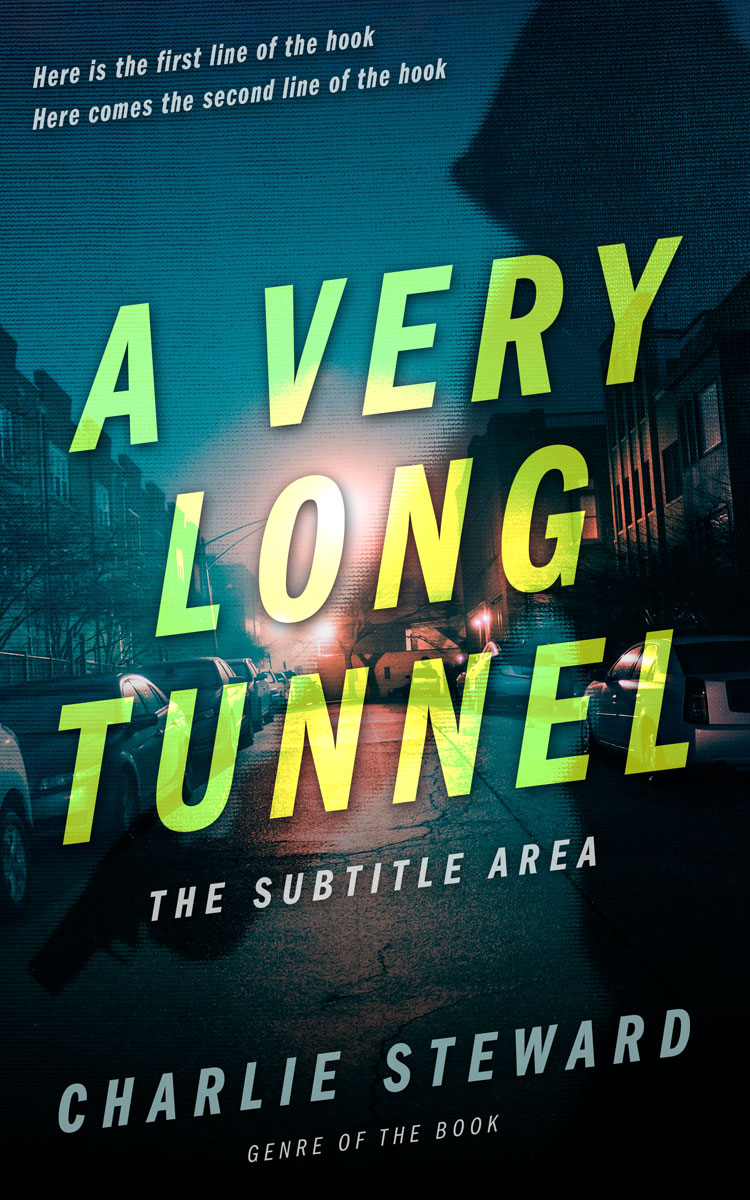 2D view of Premade Mystery & Thriller & Suspense Book Cover - Wild Willow