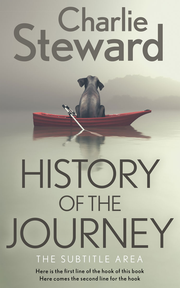 2D view of Premade Abstract Book Cover - Eagle