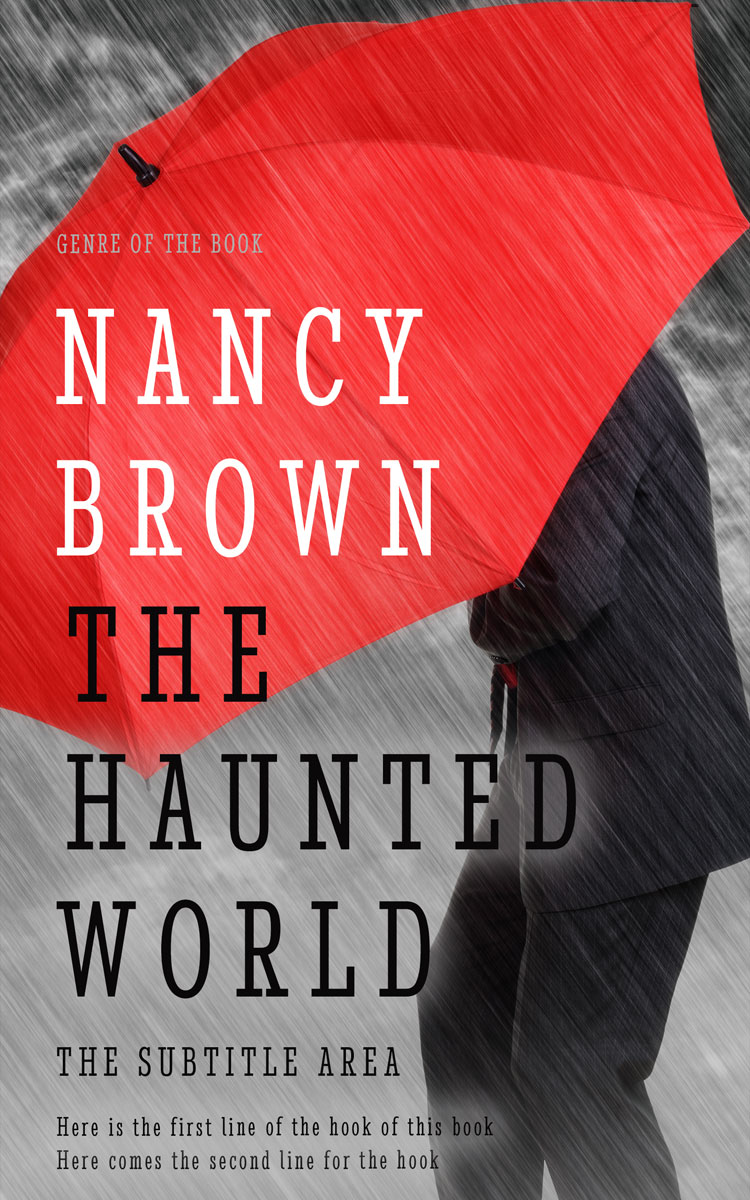 2D view of Premade Literary Fiction Book Cover - Roman