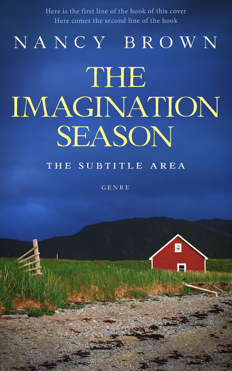 2D view of Premade Literary Fiction Book Cover - Chambray