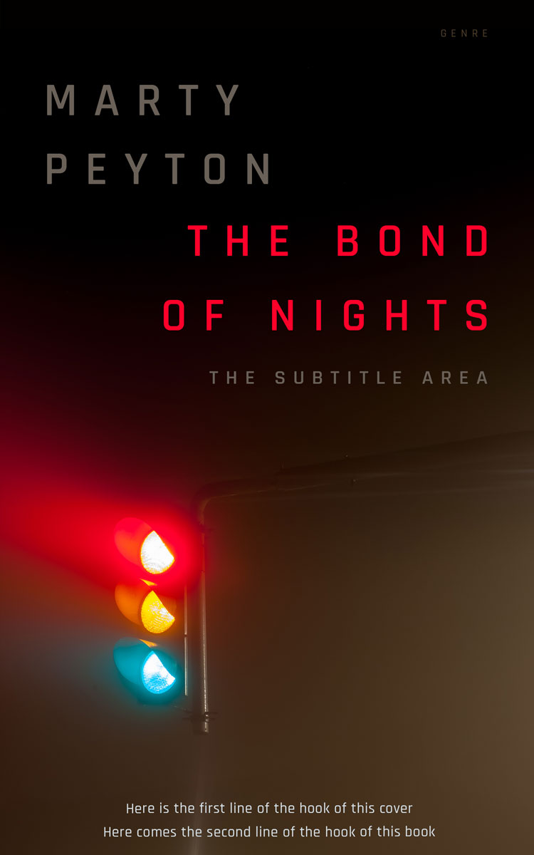 2D view of Premade Mystery & Thriller & Suspense Book Cover - Eternity