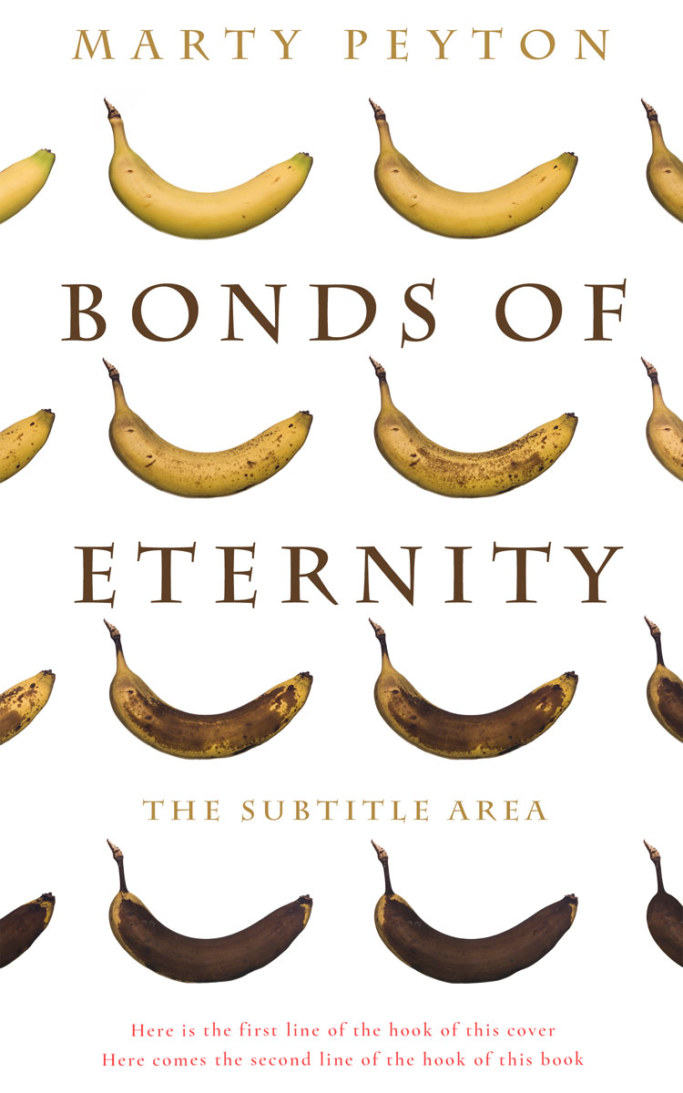 2D view of Quincy #21726 - Premade Literary Fiction Book Cover