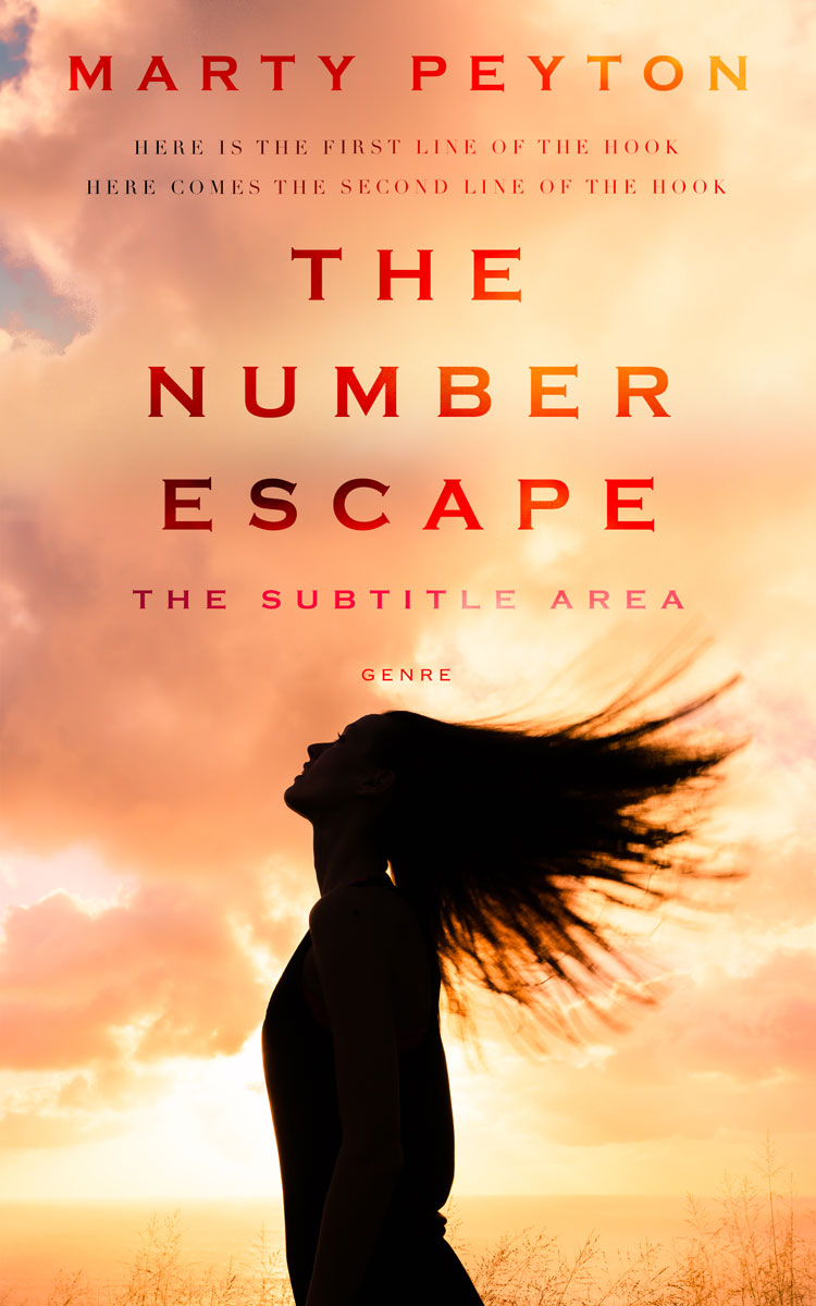 2D view of Premade Teen & Young Adult Book Cover - Manhattan