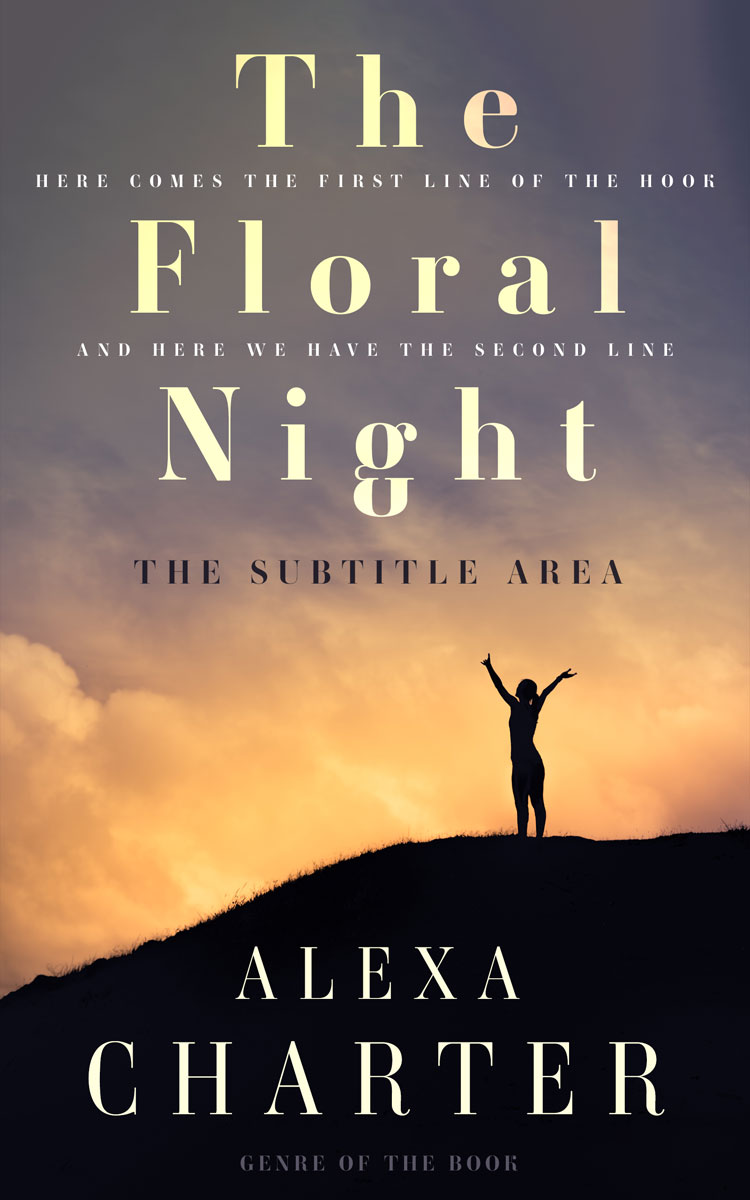 2D view of Premade Self-Improvement & Self-Help Book Cover - Ship Gray