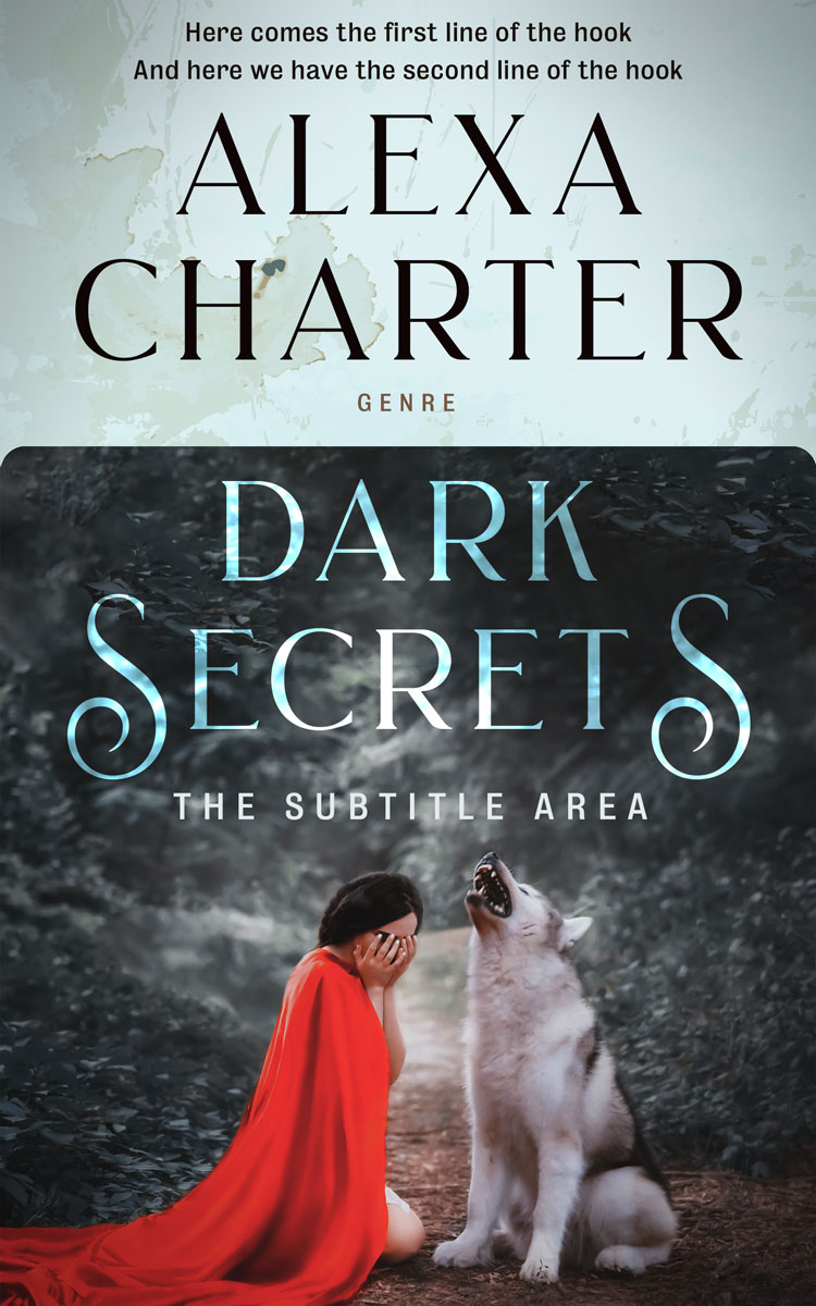 2D view of Premade Fantasy Book Cover - Pale Slate