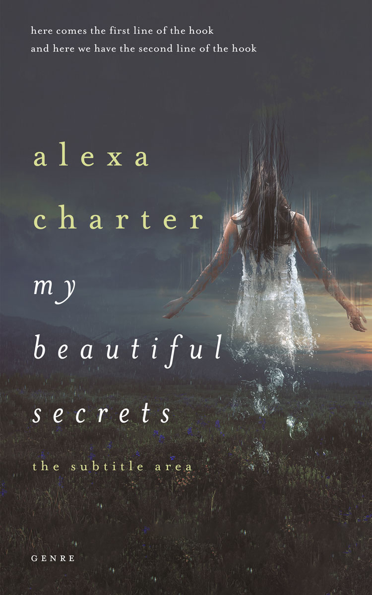 2D view of Premade Surreal Book Cover - Ship Gray