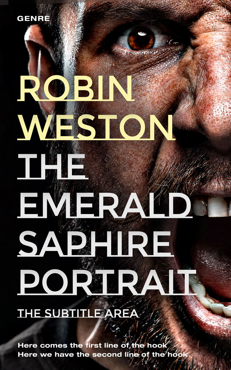 2D view of Premade Mystery & Thriller & Suspense Book Cover - Akaroa