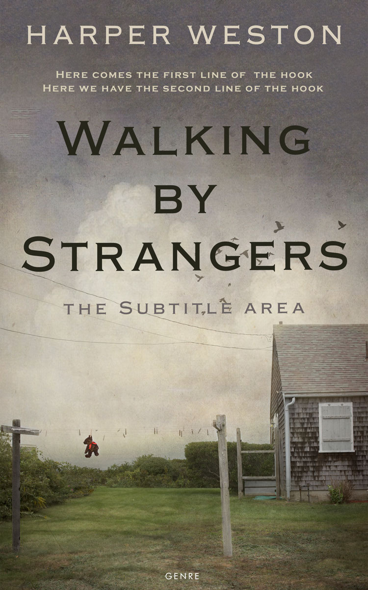 2D view of Premade Literary Fiction Book Cover - Flint