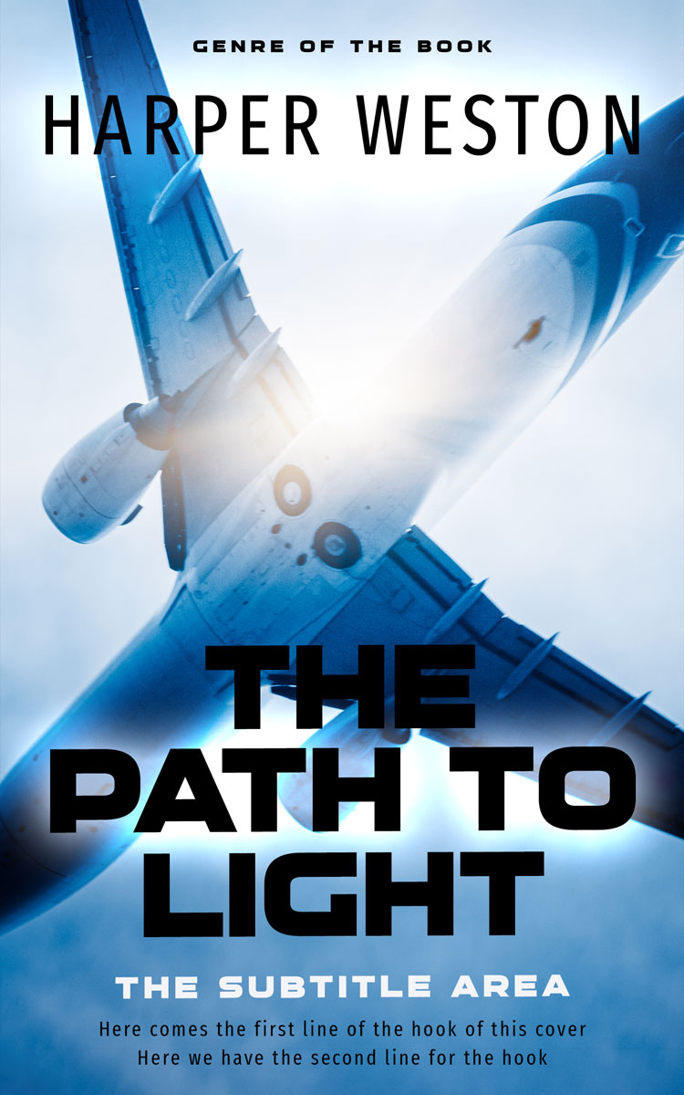 2D view of Premade Business Book Cover - Periwinkle Gray