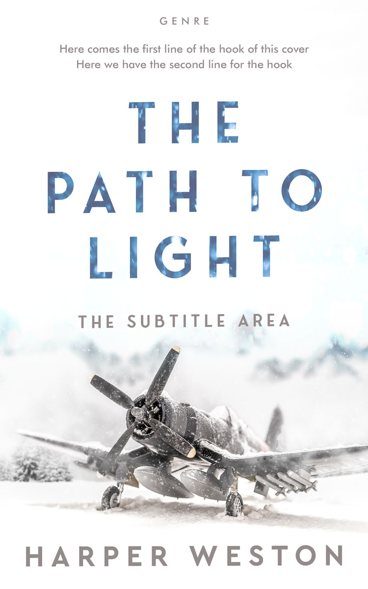 2D view of Premade Historical Book Cover - Black Haze