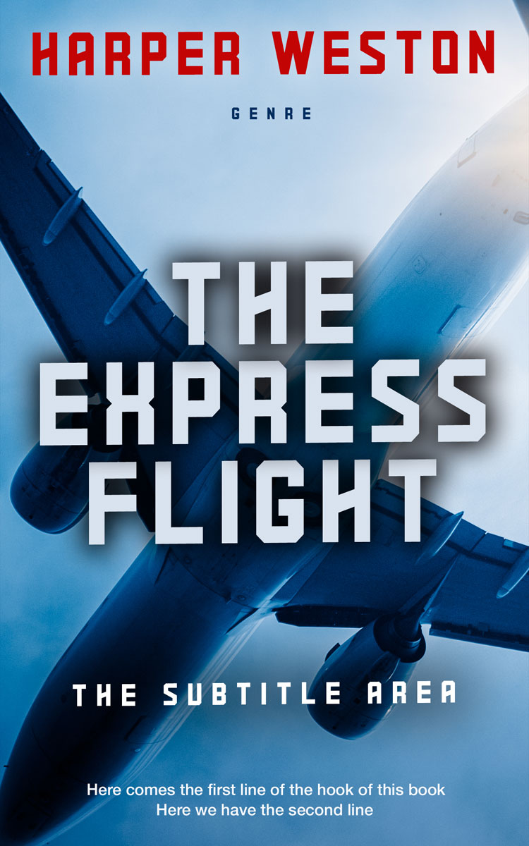 2D view of Premade Business Book Cover - Ghost