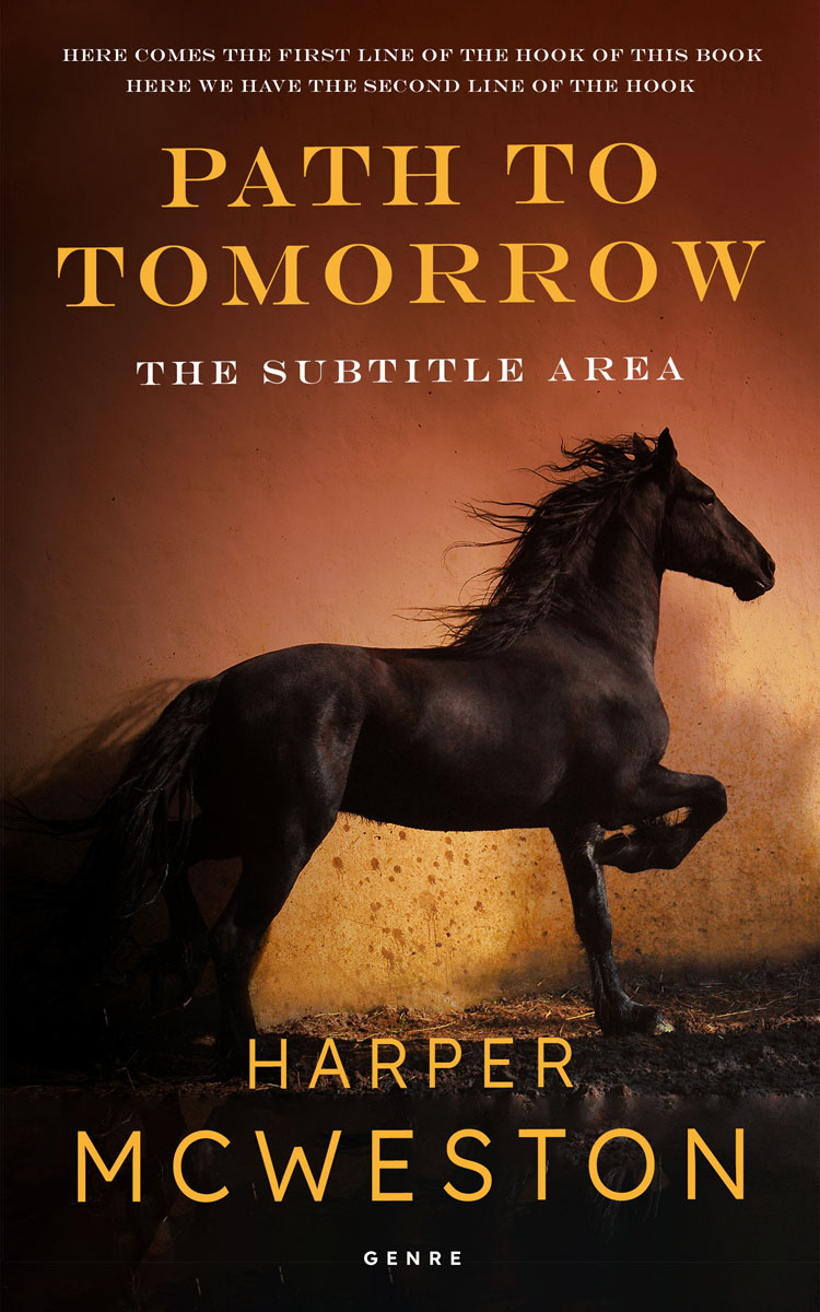 2D view of Premade Western Book Cover - Coffee Bean