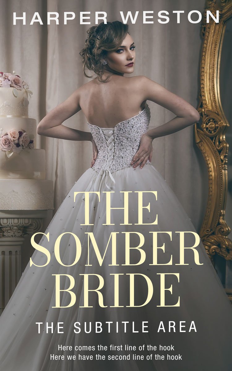 2D view of Premade Romance Book Cover - Flint