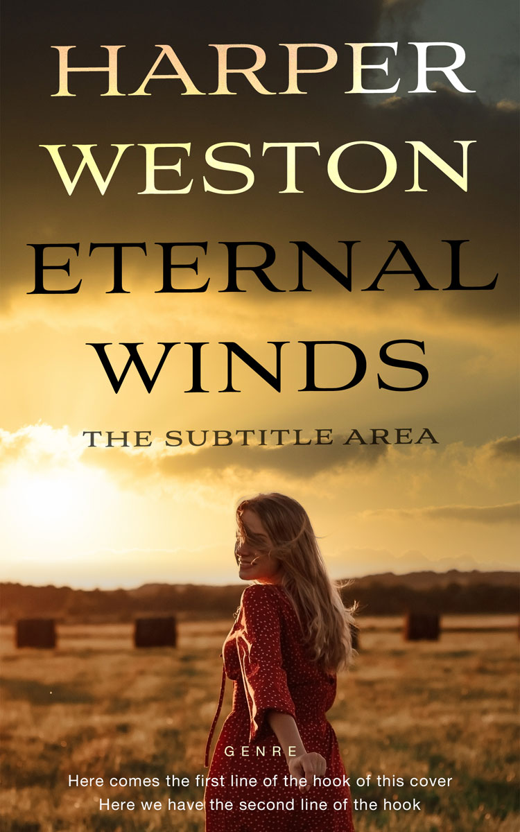 2D view of Premade Western Book Cover - Metallic Bronze