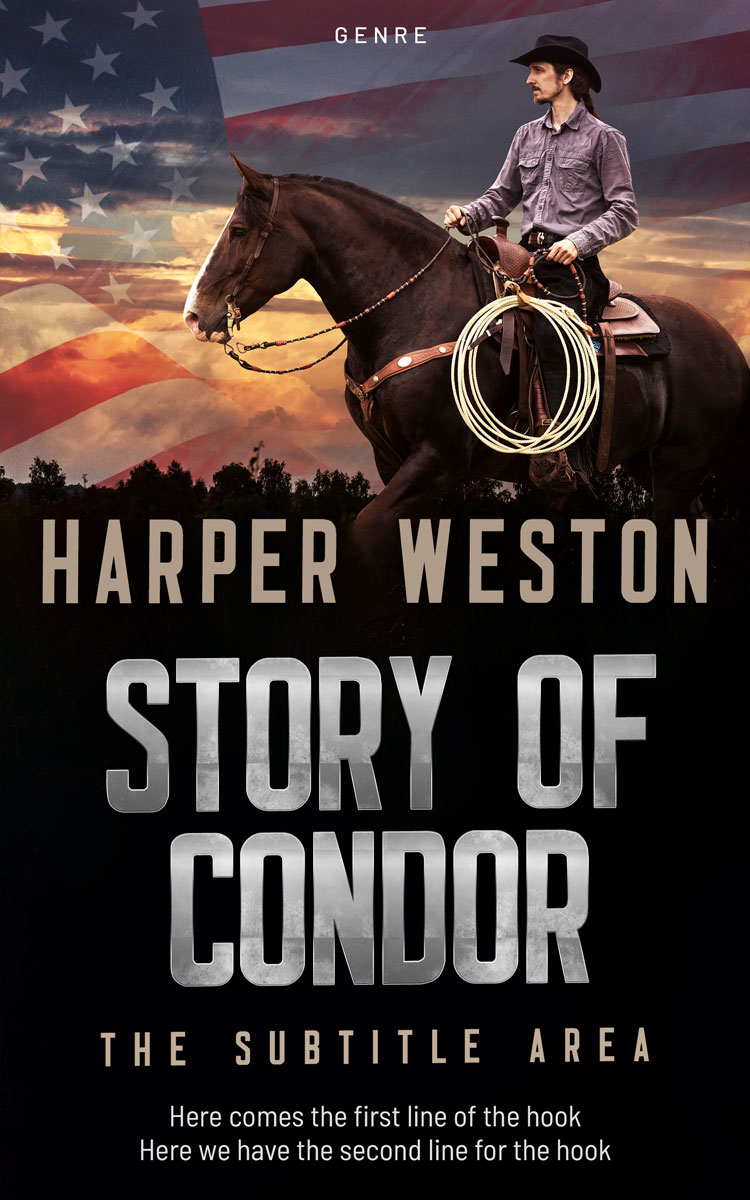 2D view of Premade Western Book Cover - Quicksand