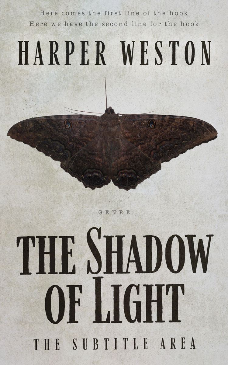 2D view of Premade Horror Book Cover - Mist Gray