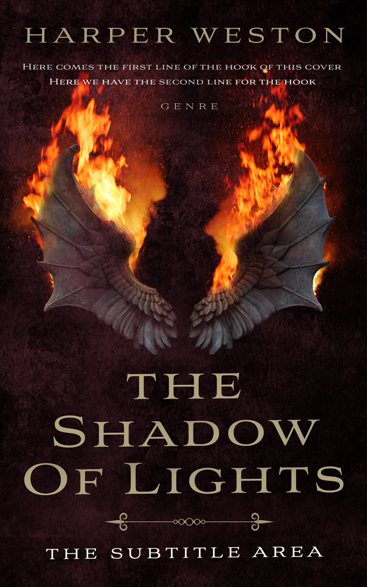 2D view of Premade Fantasy Book Cover - Night Rider