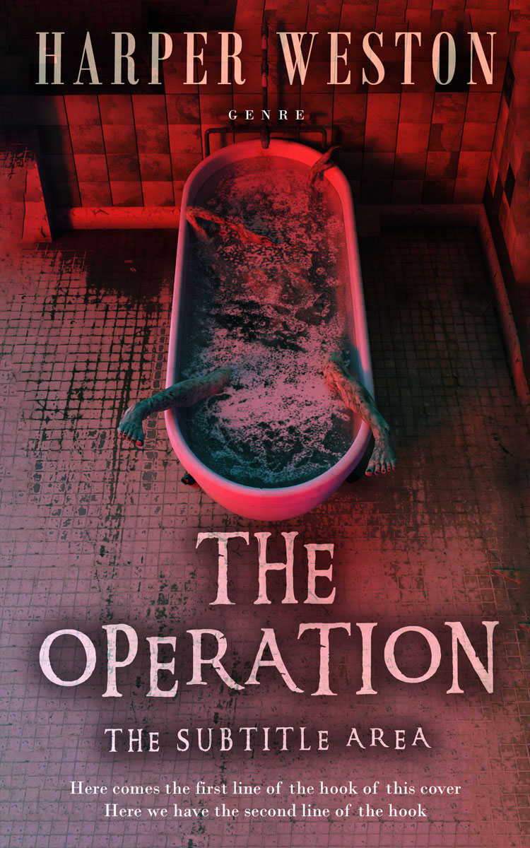 2D view of Premade Horror Book Cover - Buccaneer