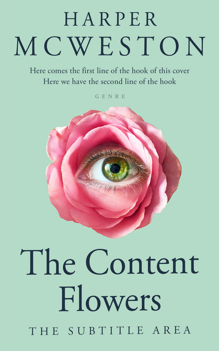 2D view of Premade Romance Book Cover - Surf