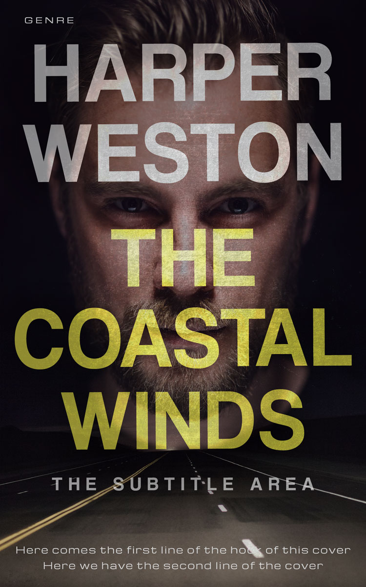 2D view of Premade Mystery & Thriller & Suspense Book Cover - Thunder