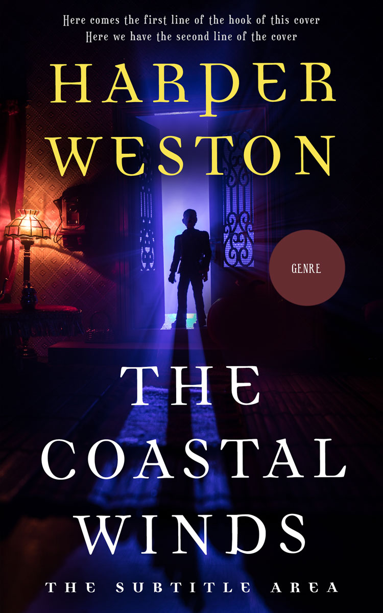 2D view of Premade Mystery & Thriller & Suspense Book Cover - Haiti