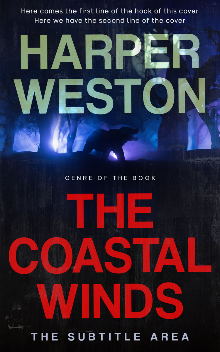 2D view of Premade Fantasy Book Cover - Matrix