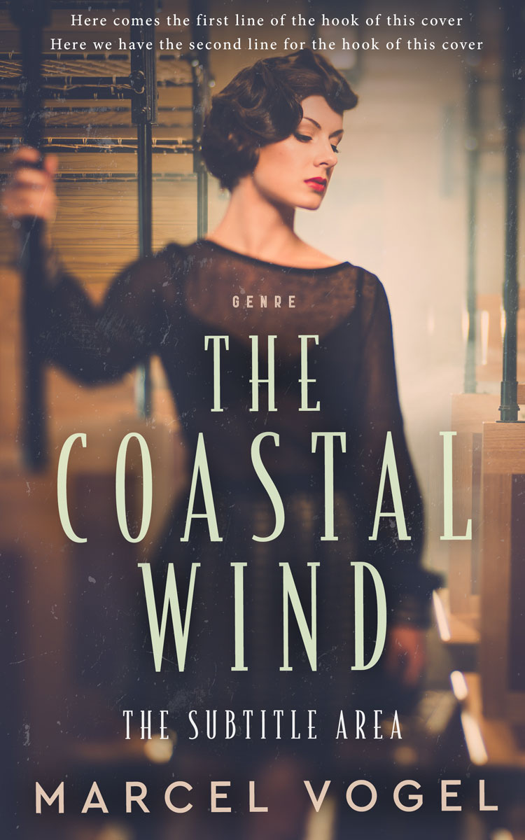 2D view of Premade Historical Book Cover - Ship Gray