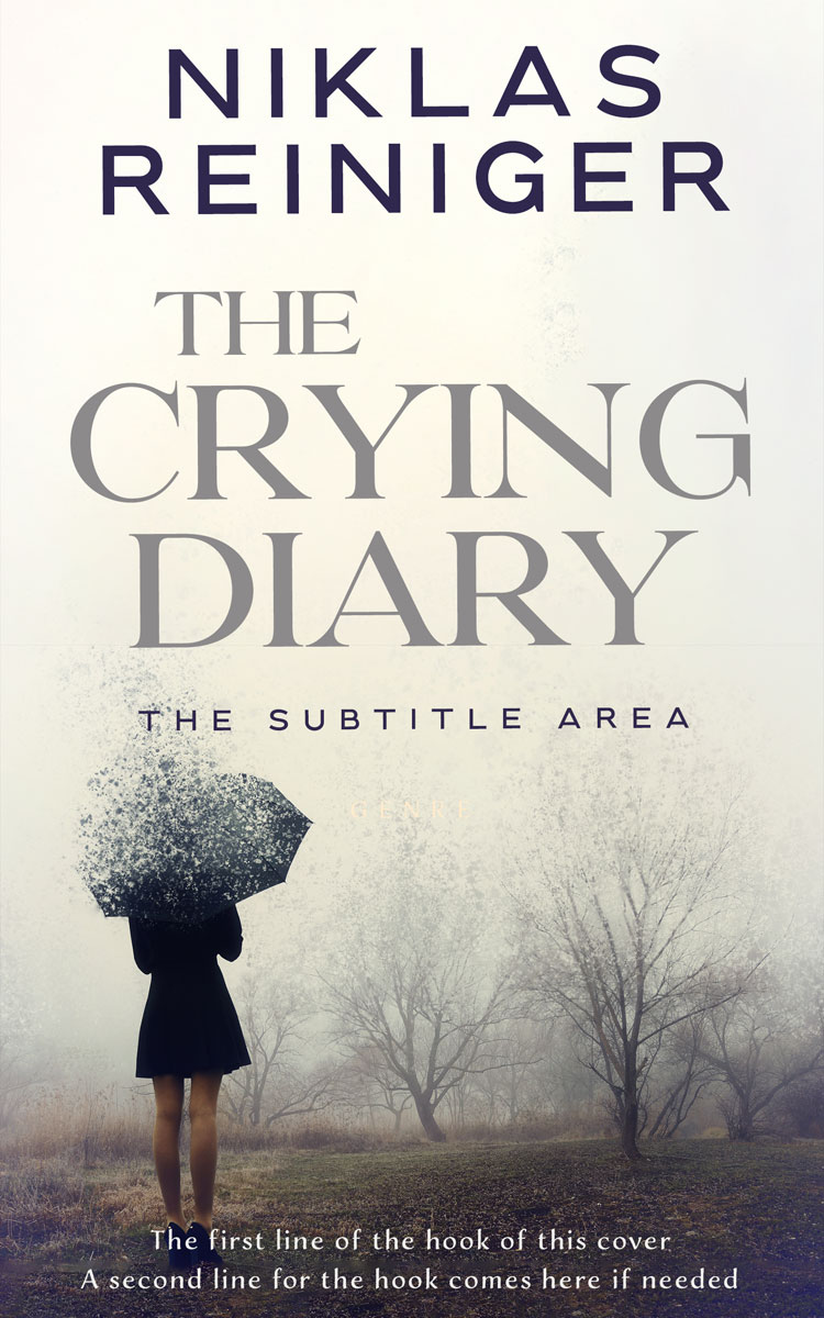 2D view of Premade Fantasy Book Cover - Ship Gray