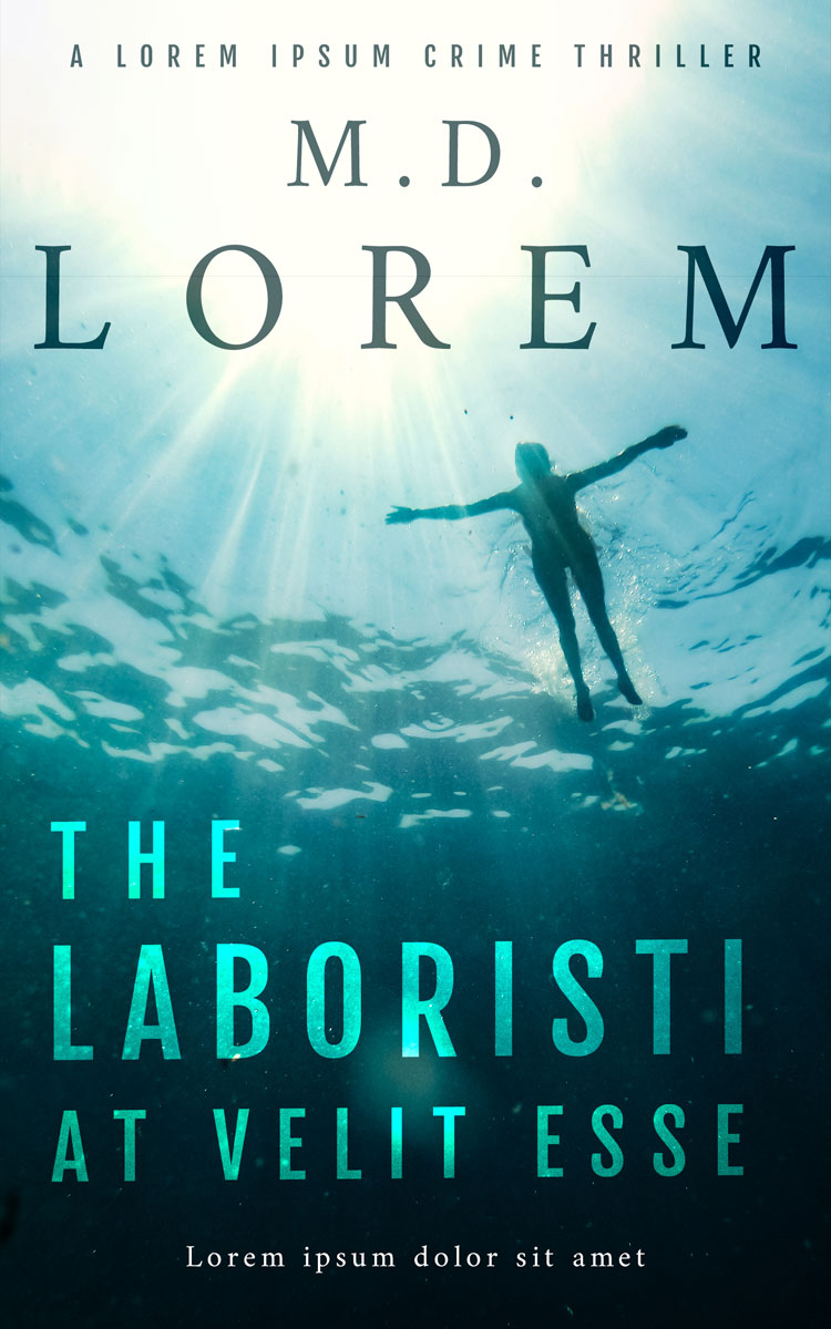 2D view of Premade Action & Adventure Book Cover - Harp