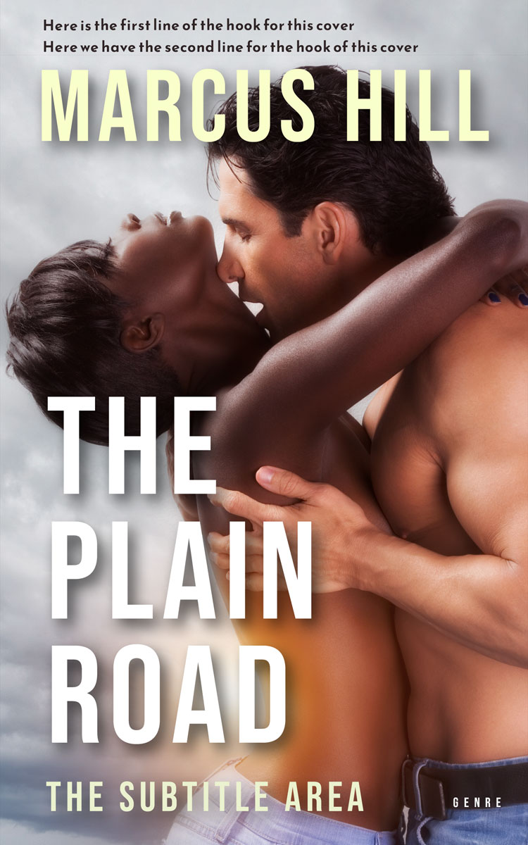 2D view of Premade Erotica Book Cover - Silver Rust