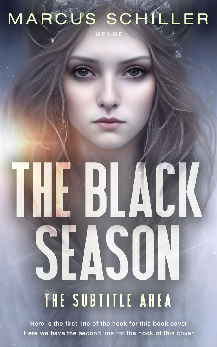 2D view of Premade Fantasy Book Cover - Salt Box