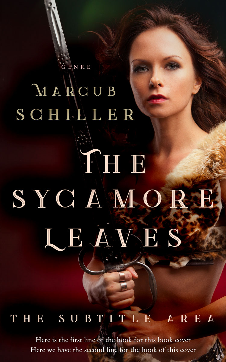 2D view of Premade Fantasy Book Cover - Asphalt