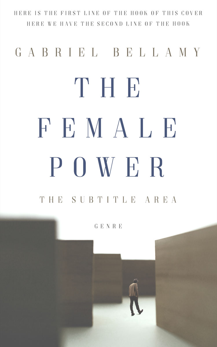 2D view of Premade Self-Improvement & Self-Help Book Cover - Ironside Gray