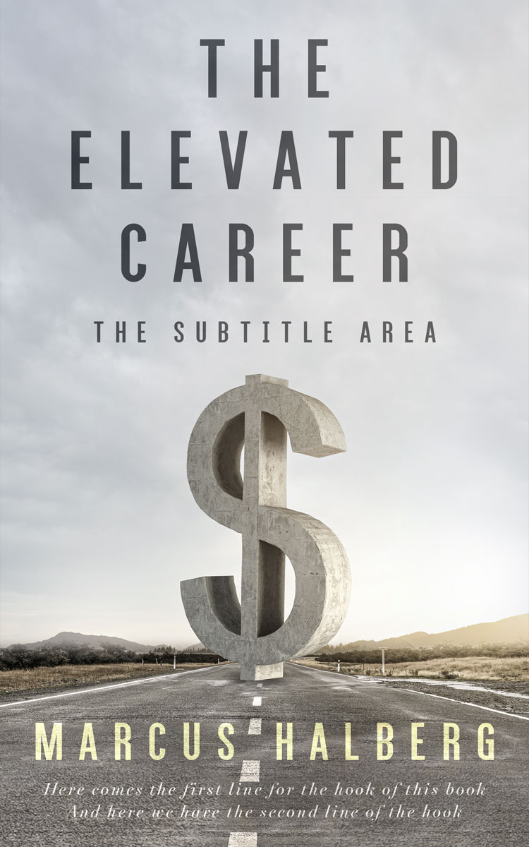 2D view of Premade Business Book Cover - Iron